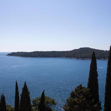 Apartments Villa Ari Dubrovnik Kültér fotó